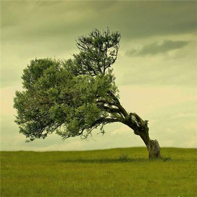 半岛平台半岛官方下载