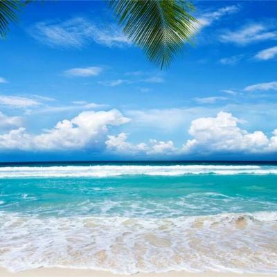 6686体育手机app下载