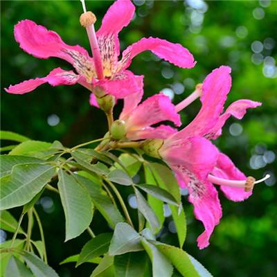 皇冠welcome娱乐登录入口截图