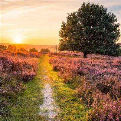 5848vip威尼斯电子游戏下载手机版