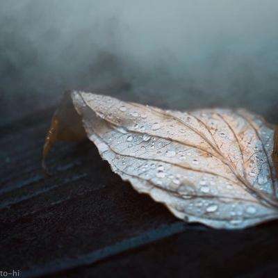 爱游戏全站-登录入口